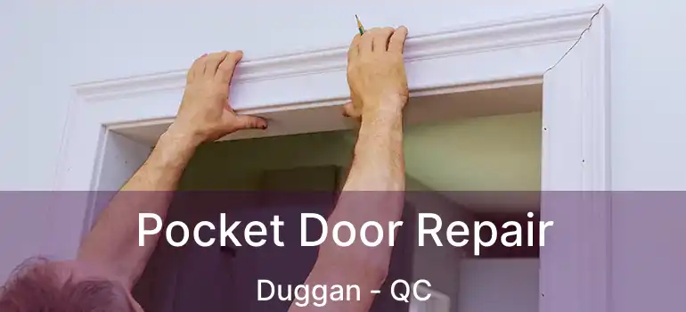  Pocket Door Repair Duggan - QC