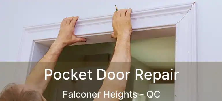  Pocket Door Repair Falconer Heights - QC