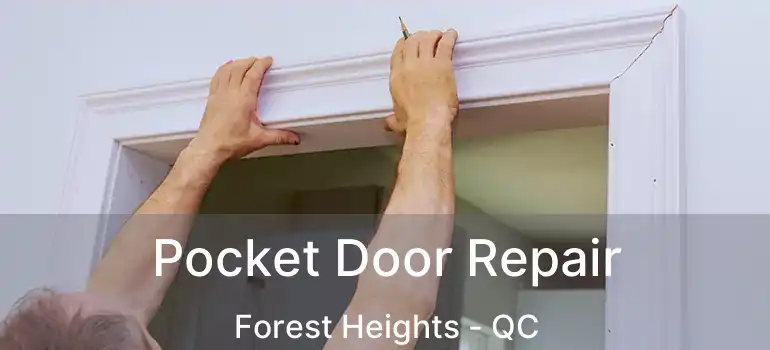  Pocket Door Repair Forest Heights - QC
