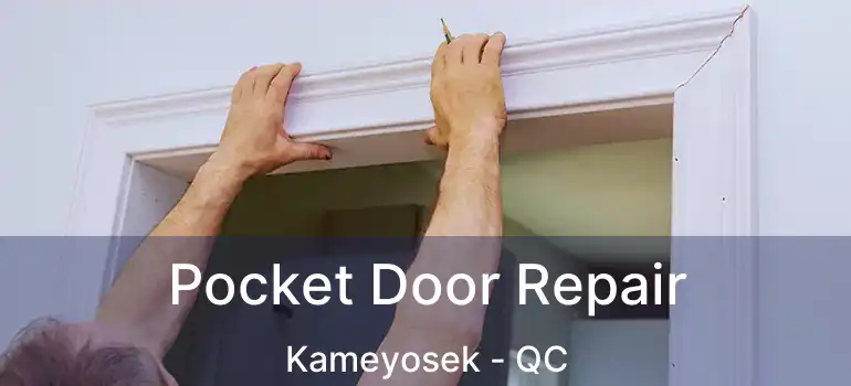  Pocket Door Repair Kameyosek - QC