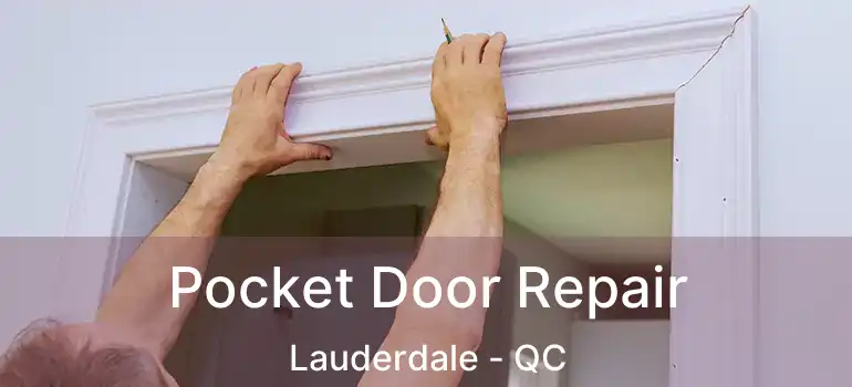  Pocket Door Repair Lauderdale - QC