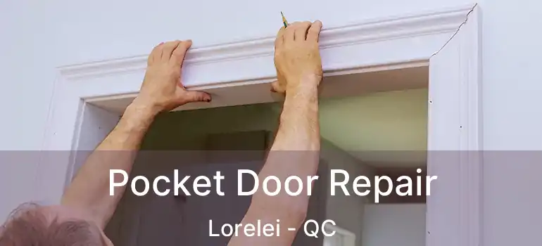  Pocket Door Repair Lorelei - QC