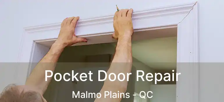  Pocket Door Repair Malmo Plains - QC