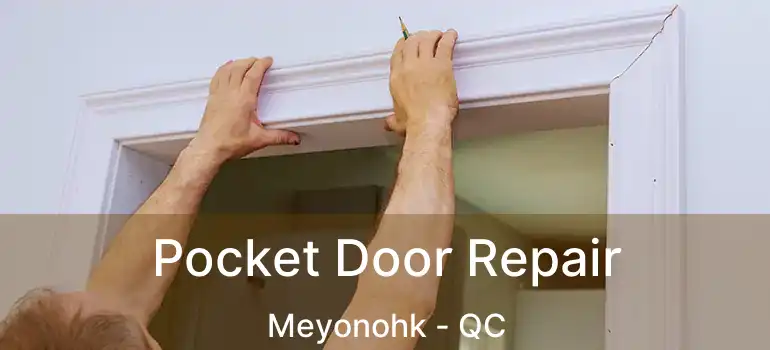  Pocket Door Repair Meyonohk - QC