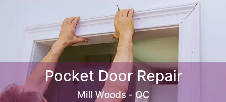  Pocket Door Repair Mill Woods - QC
