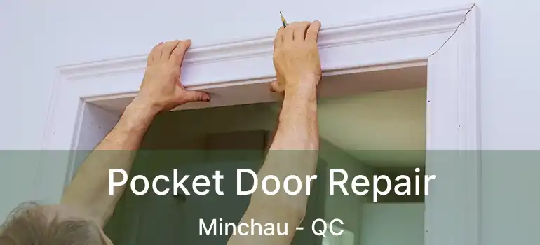  Pocket Door Repair Minchau - QC