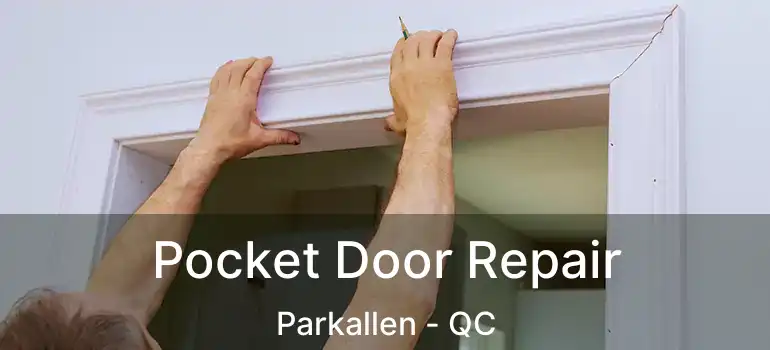  Pocket Door Repair Parkallen - QC
