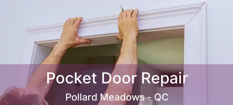  Pocket Door Repair Pollard Meadows - QC