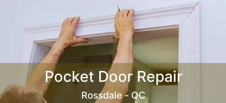  Pocket Door Repair Rossdale - QC