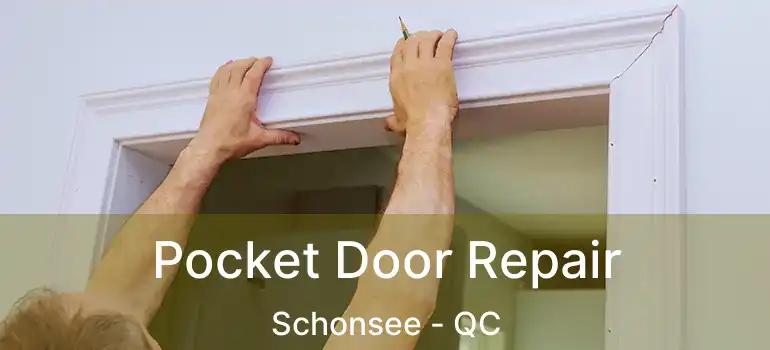  Pocket Door Repair Schonsee - QC
