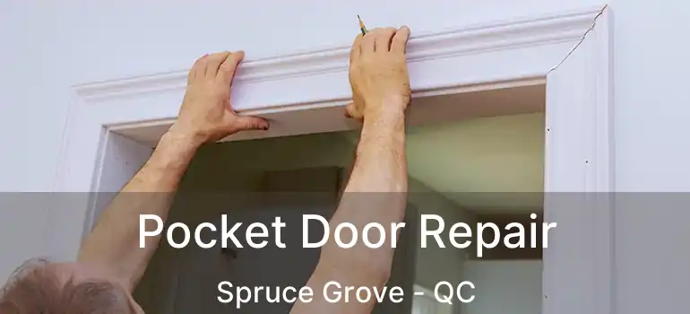  Pocket Door Repair Spruce Grove - QC