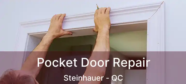  Pocket Door Repair Steinhauer - QC