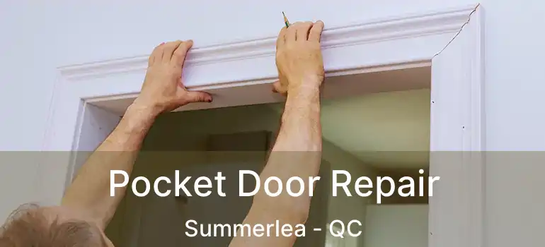  Pocket Door Repair Summerlea - QC