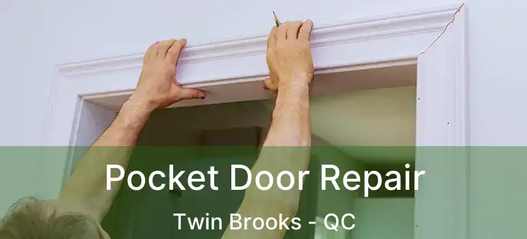  Pocket Door Repair Twin Brooks - QC