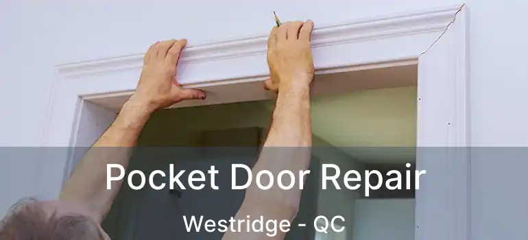  Pocket Door Repair Westridge - QC