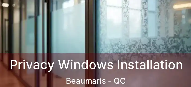  Privacy Windows Installation Beaumaris - QC