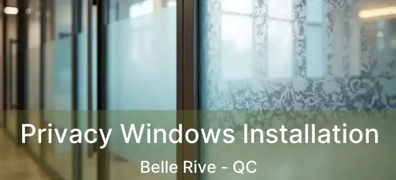  Privacy Windows Installation Belle Rive - QC