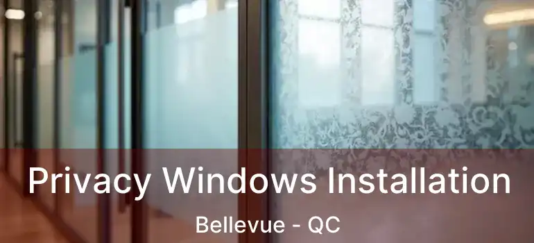  Privacy Windows Installation Bellevue - QC