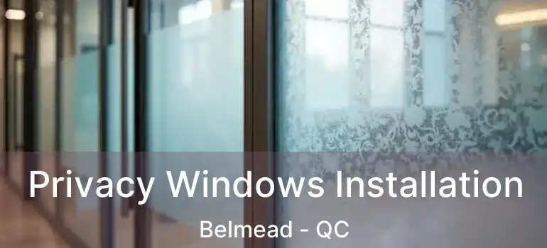  Privacy Windows Installation Belmead - QC