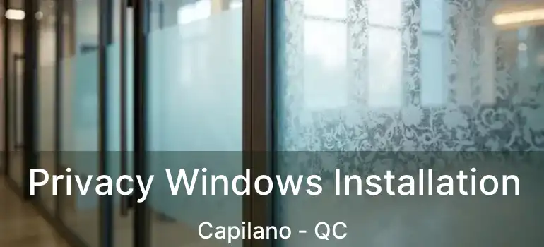  Privacy Windows Installation Capilano - QC