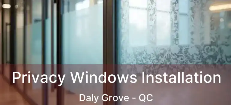  Privacy Windows Installation Daly Grove - QC