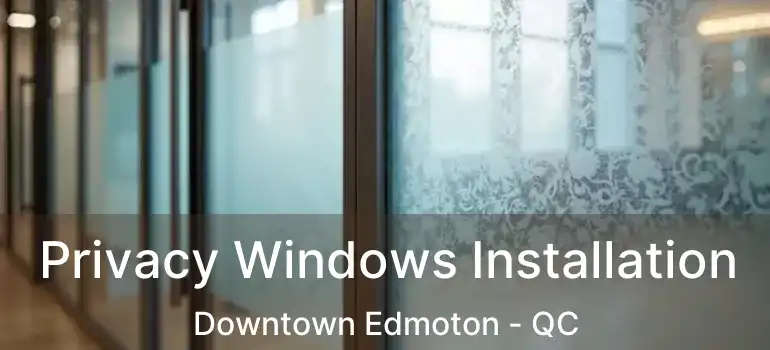  Privacy Windows Installation Downtown Edmoton - QC