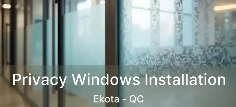  Privacy Windows Installation Ekota - QC