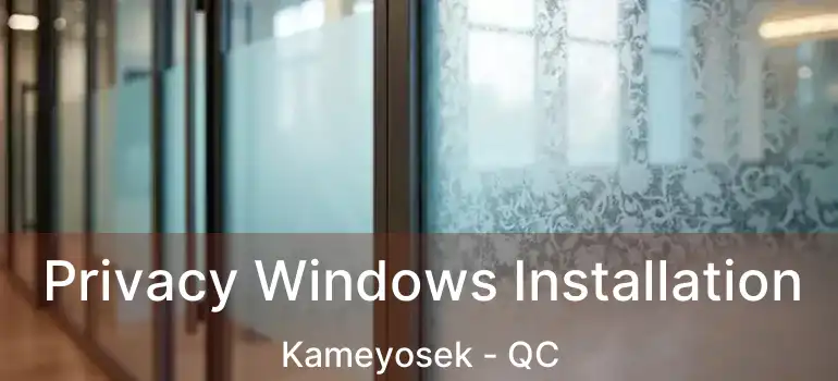  Privacy Windows Installation Kameyosek - QC