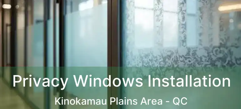  Privacy Windows Installation Kinokamau Plains Area - QC