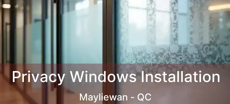  Privacy Windows Installation Mayliewan - QC