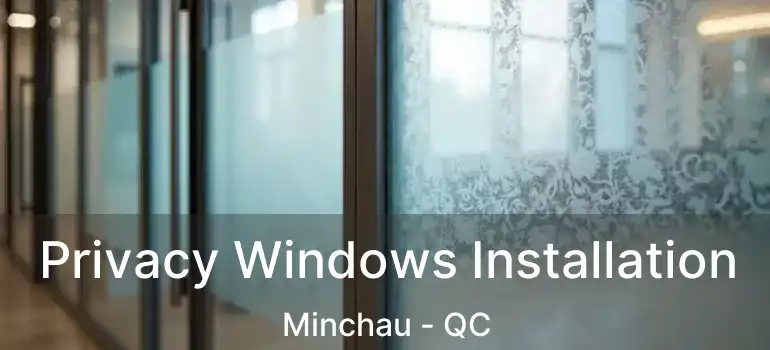  Privacy Windows Installation Minchau - QC