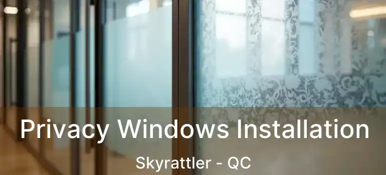  Privacy Windows Installation Skyrattler - QC