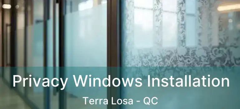  Privacy Windows Installation Terra Losa - QC