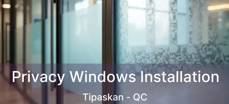  Privacy Windows Installation Tipaskan - QC