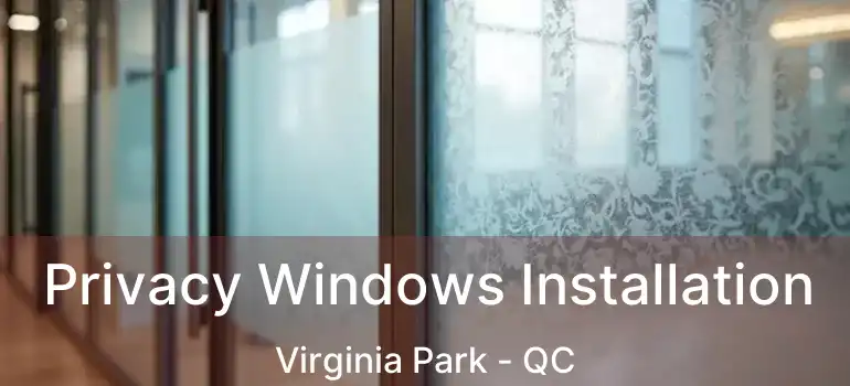  Privacy Windows Installation Virginia Park - QC
