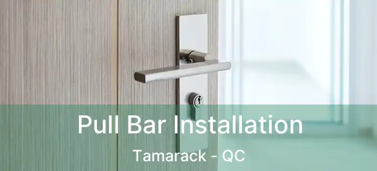  Pull Bar Installation Tamarack - QC