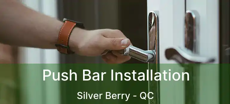  Push Bar Installation Silver Berry - QC