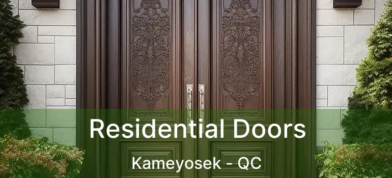  Residential Doors Kameyosek - QC