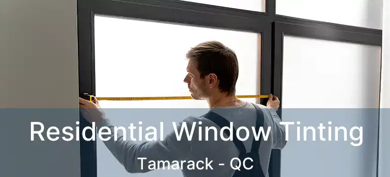  Residential Window Tinting Tamarack - QC