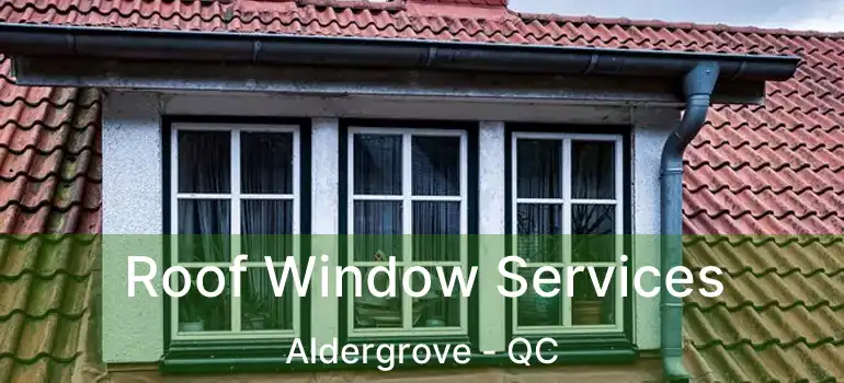  Roof Window Services Aldergrove - QC