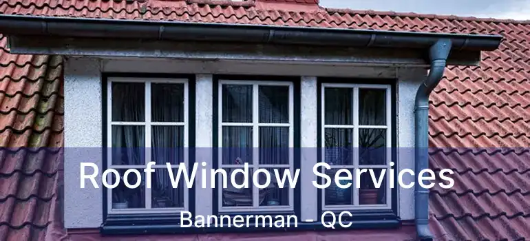  Roof Window Services Bannerman - QC
