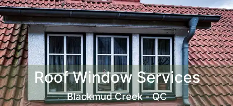  Roof Window Services Blackmud Creek - QC