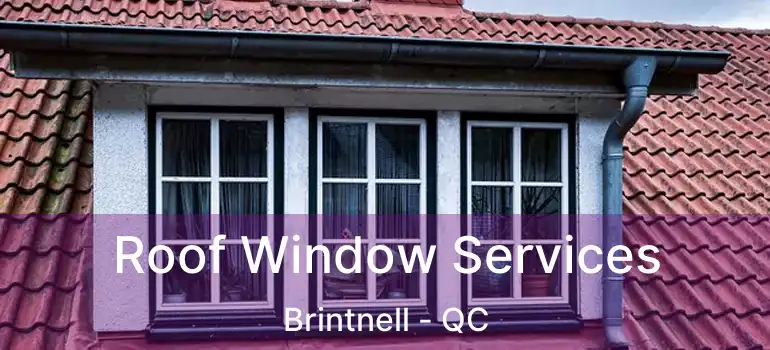  Roof Window Services Brintnell - QC