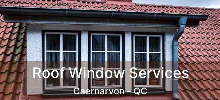  Roof Window Services Caernarvon - QC