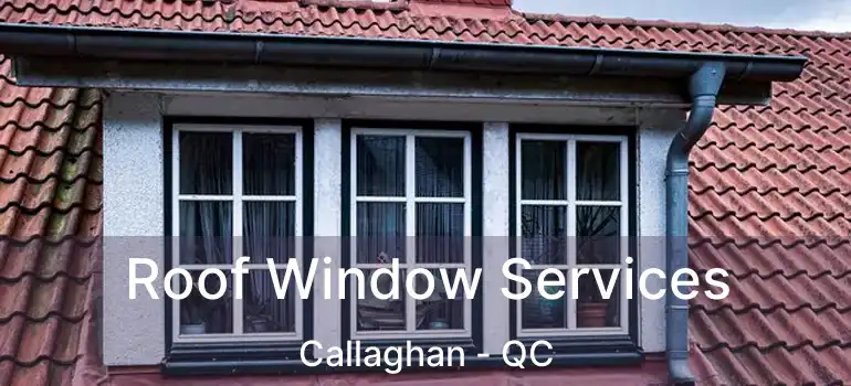  Roof Window Services Callaghan - QC