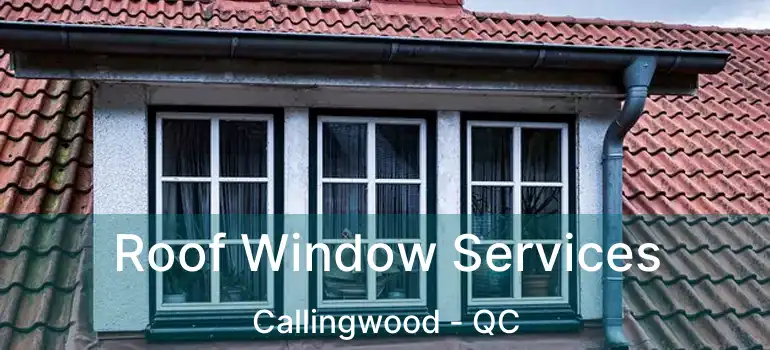  Roof Window Services Callingwood - QC