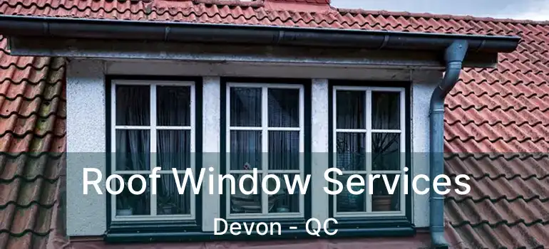  Roof Window Services Devon - QC