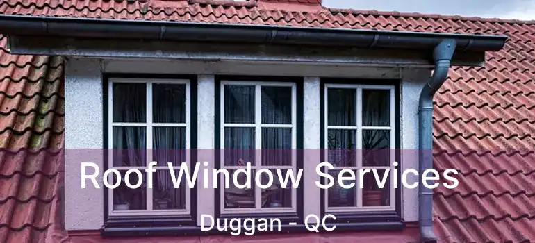  Roof Window Services Duggan - QC