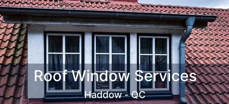  Roof Window Services Haddow - QC