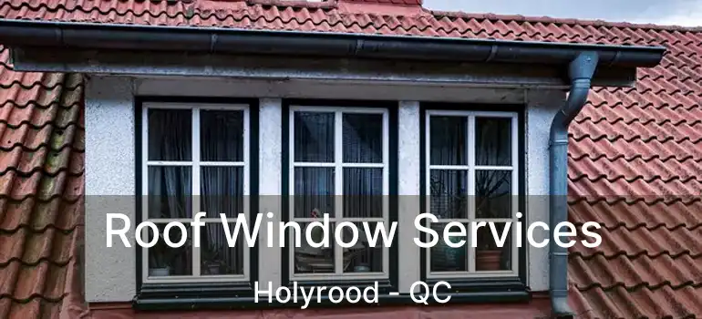  Roof Window Services Holyrood - QC